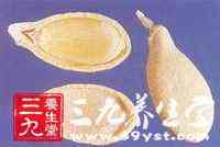 (图)瓜子